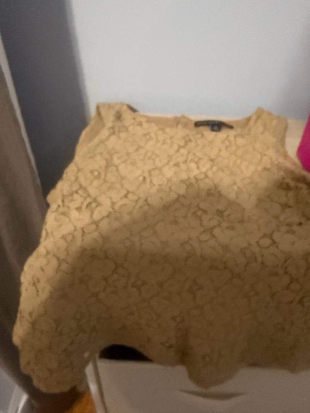 Banana Republic Tan Lace Sleeveless Top